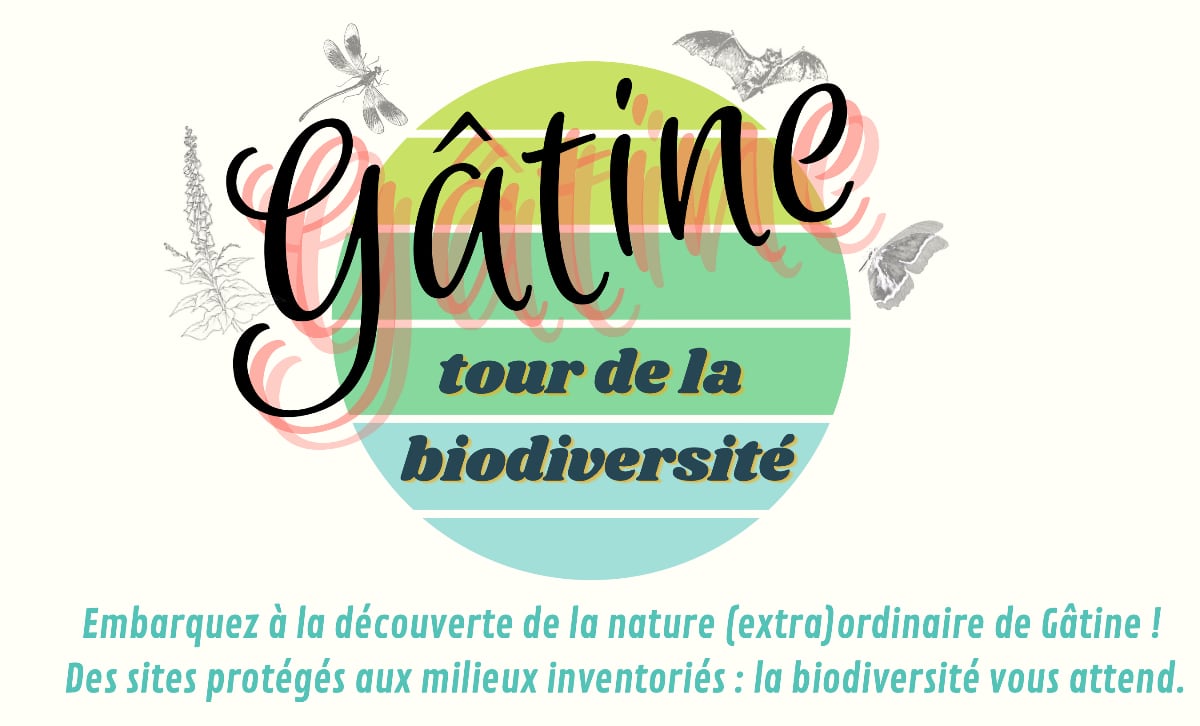 Illustration de l'article : Gâtine tour 2022