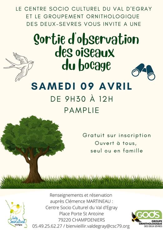 sortie d'observation des oiseaux du bocage