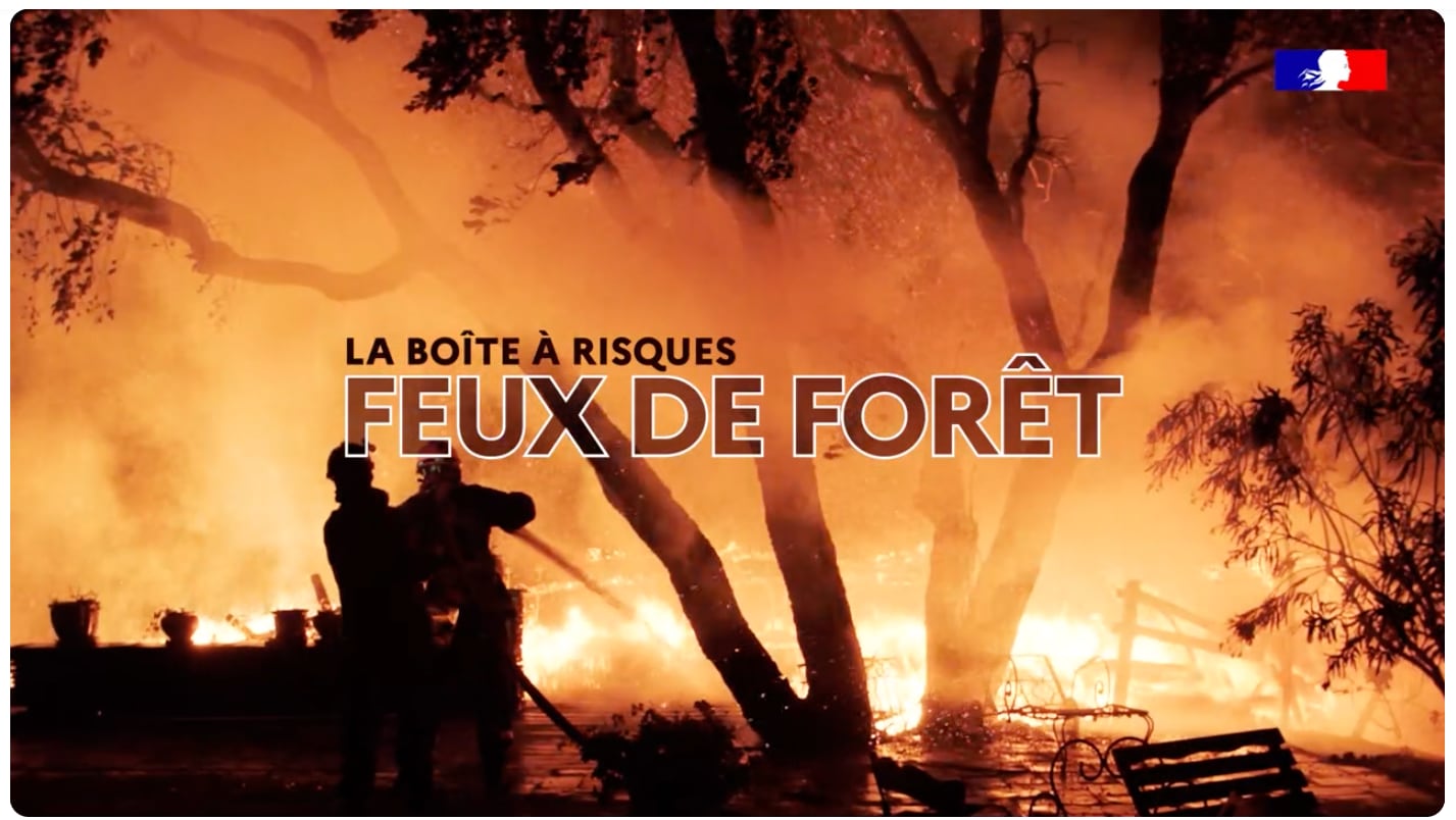 Illustration de l'article : Feux de forêts : les bons réflexes