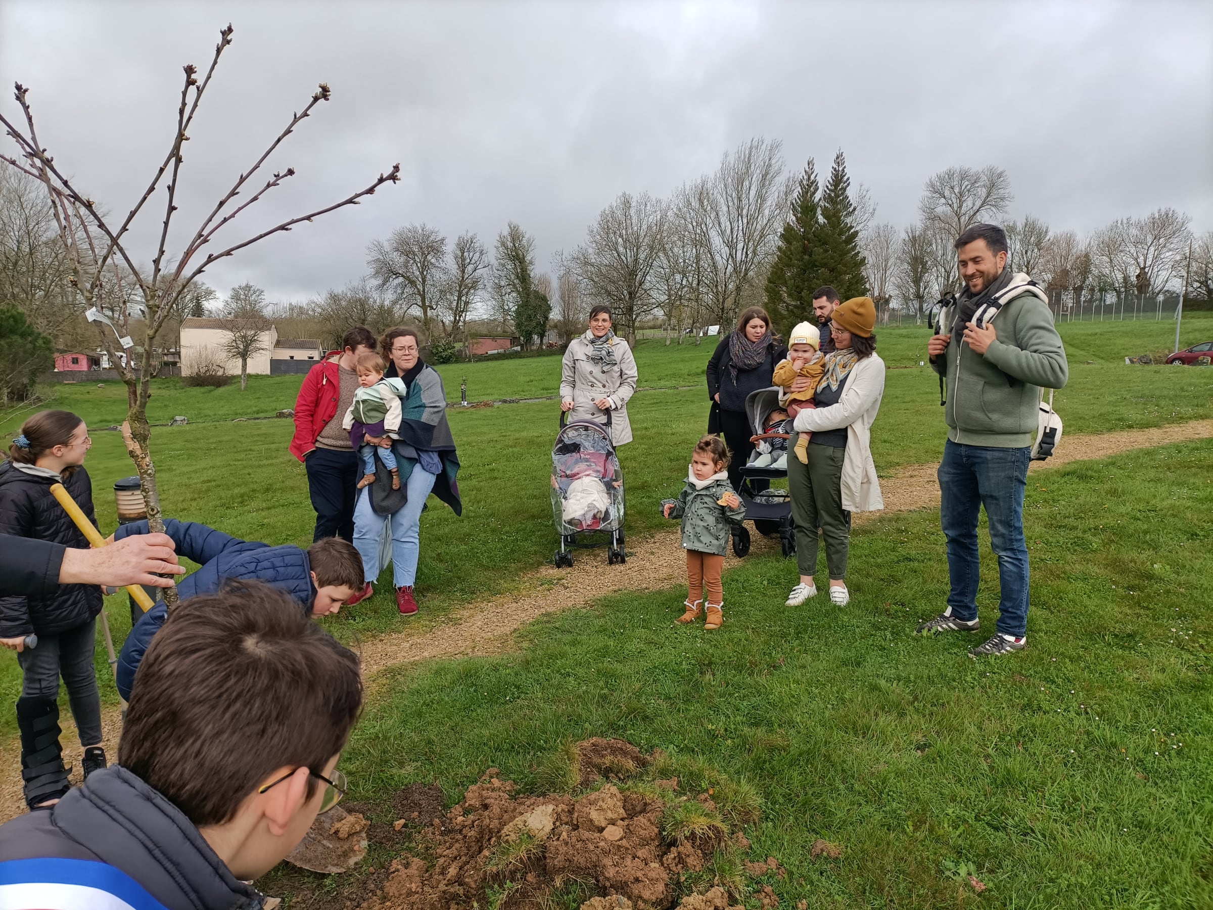 Illustration de l'article : Une naissance, un arbre