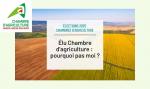 illustration de l'article