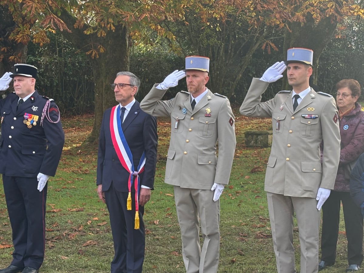 Illustration de l'article : 11 novembre 2025