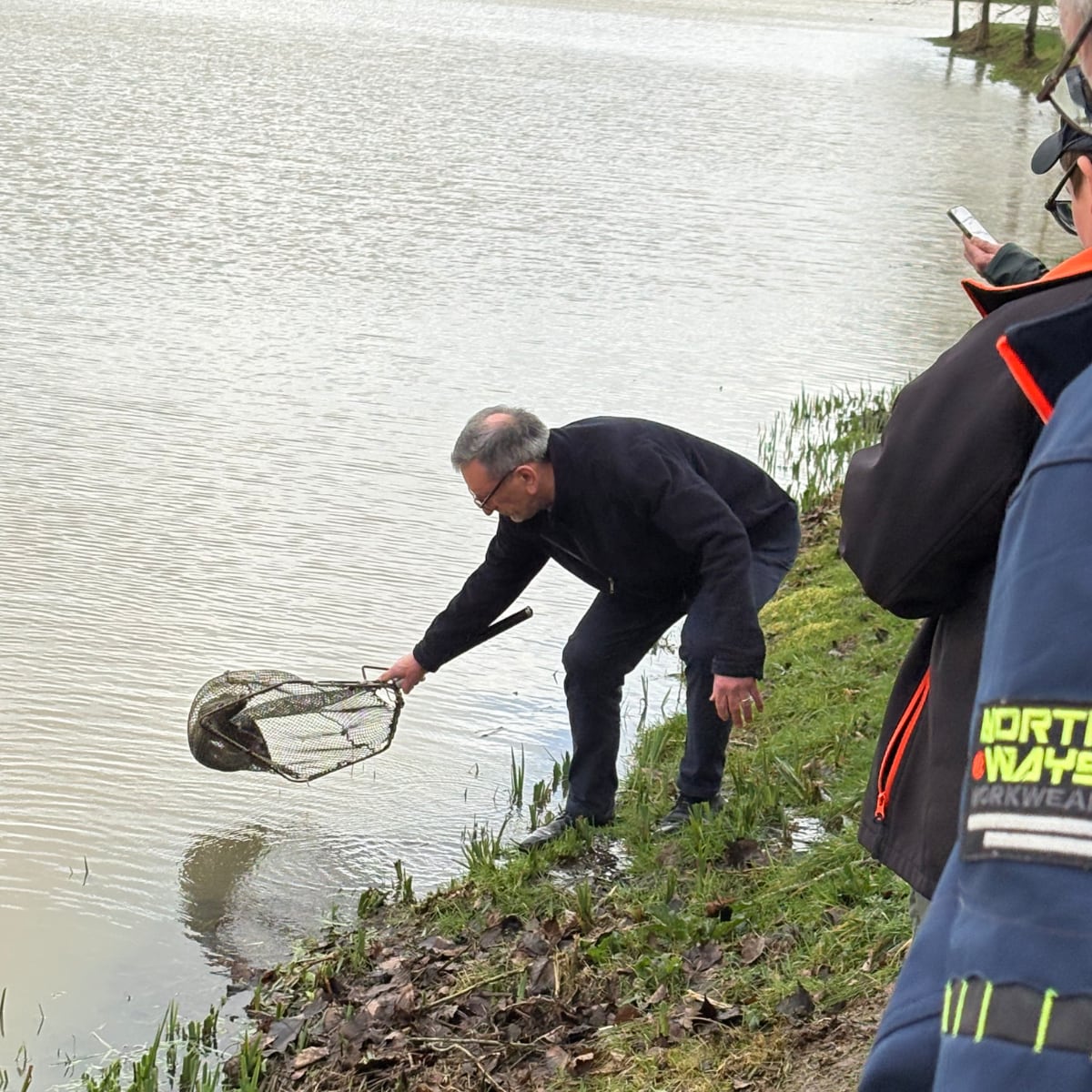 Illustration de l'article : Lâcher de truites 2026