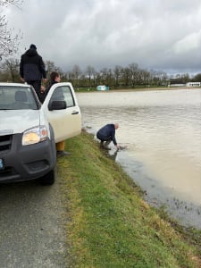 empoissonnement-2026-02